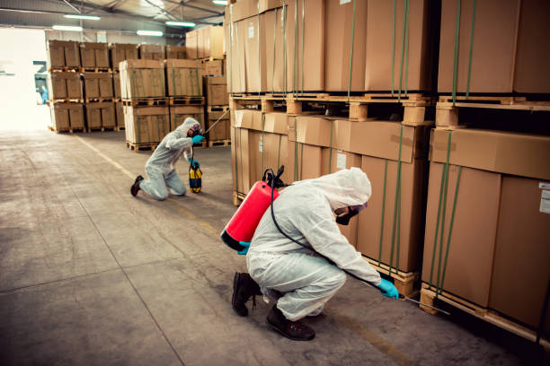 Best Best Pest Control Companies  in Massac, KY