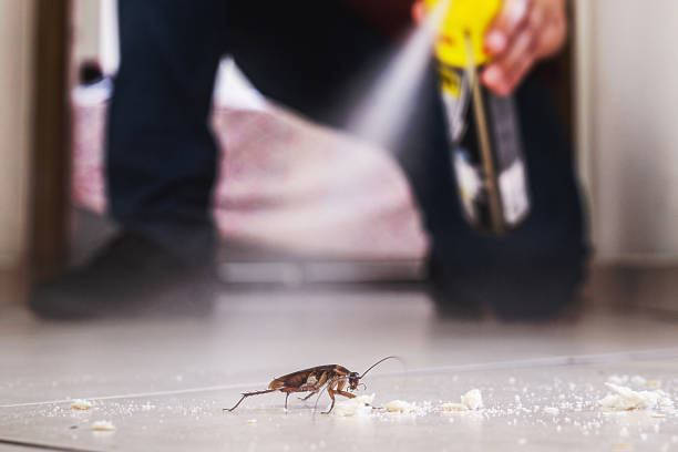 Best Emergency Pest Control  in Massac, KY