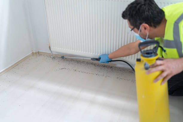 Best Bed Bug Extermination  in Massac, KY